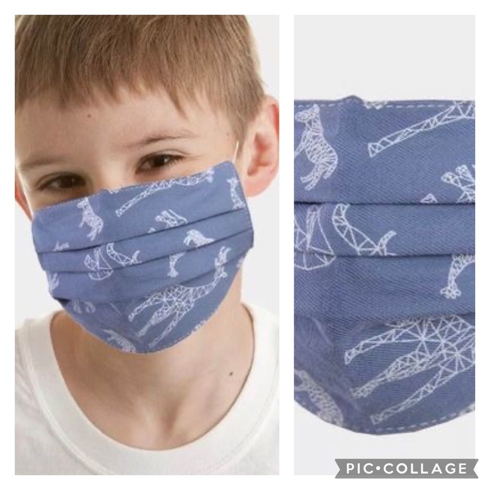 Children’s Boys Blue Dinosaur 🦕 Face Mask 😷